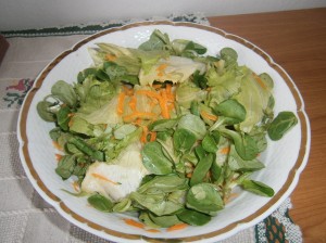Míchaný  zeleninový salát